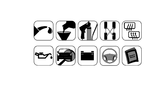 Fuel System Cleaning